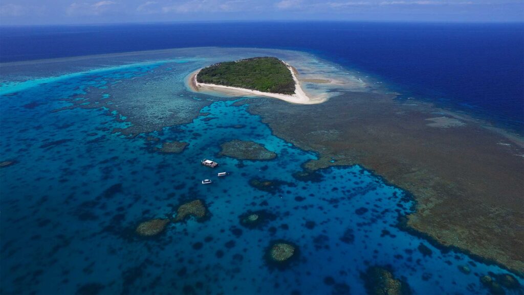 1770reef lady musgrave birdseyeview