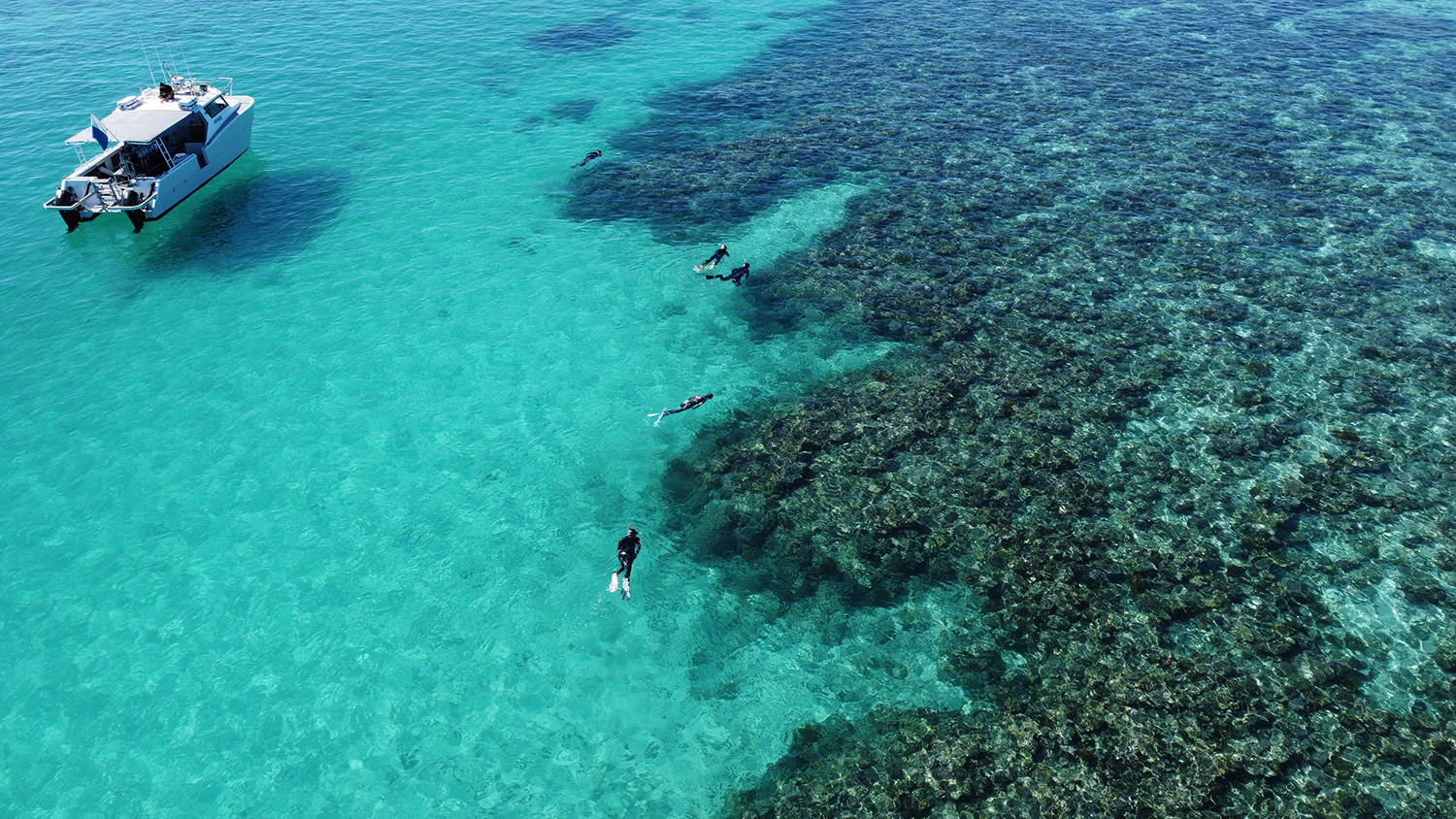 snorkelling tours