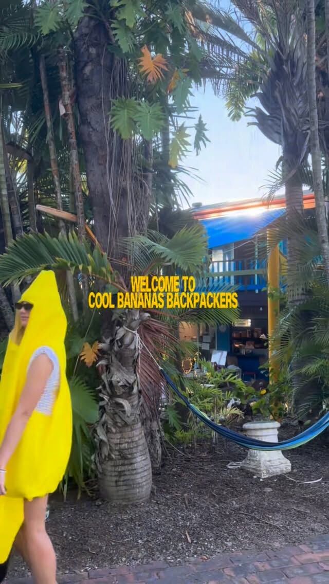 Welcome to Cool Bananas Backpackers 🥳🍌
(Warning: the bananas are still hanging around...)