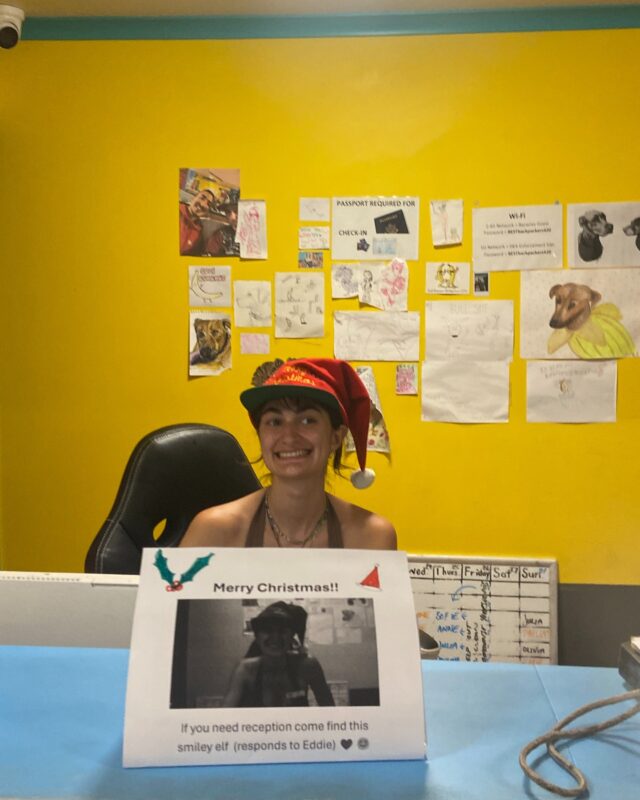 Merry Christmas from Cool Bananas. Have an awesome adventure. Big Love ❤️