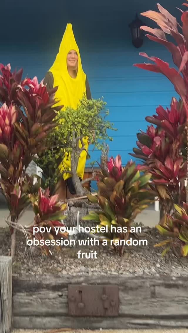 You don’t find the banana. Banana finds you🍌😅🙌🏼#agneswater #banana🍌 #hostellife #coolbananas #backpackingaustralia
