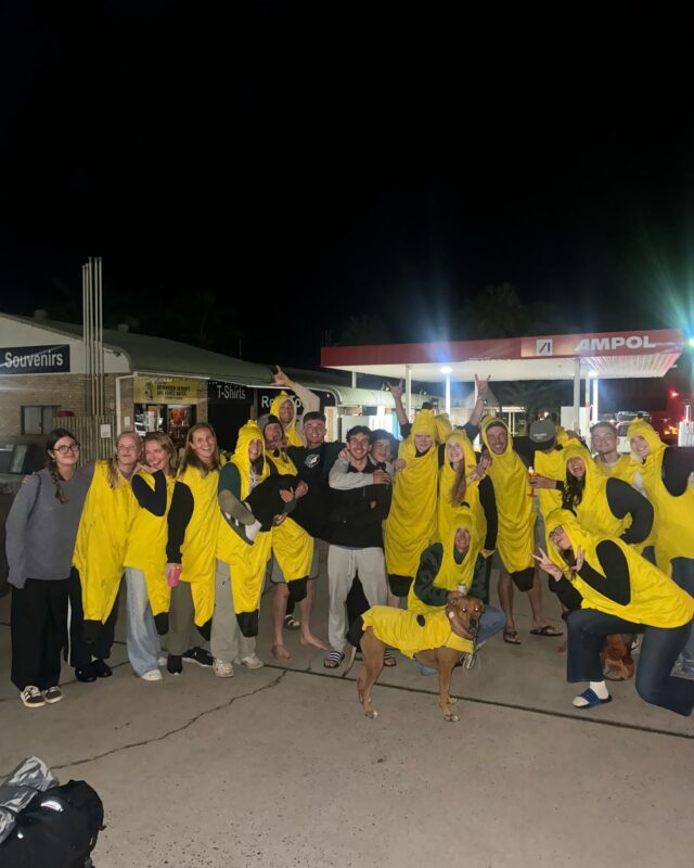 When you book a bed with us, you don’t just get picked up—you get peeled away from the ordinary 🍌💛 #coolbananas #agneswater #bananataxi